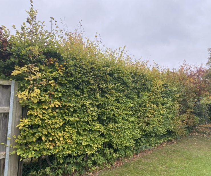 580833196_1325731109353411_2050329774158343615_n