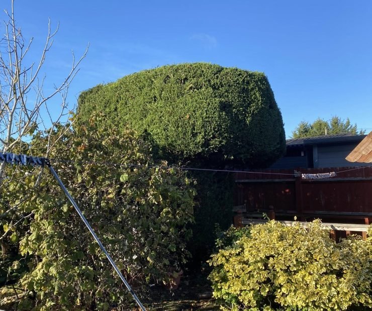 584899165_1331234732136382_9166196746519988427_n